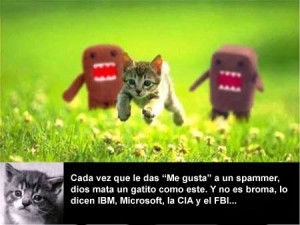 gatitos spam facebook