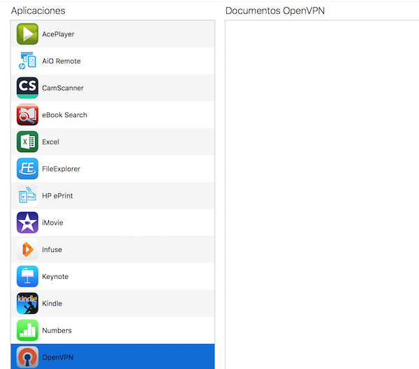 VPN IOS TunnelBlick